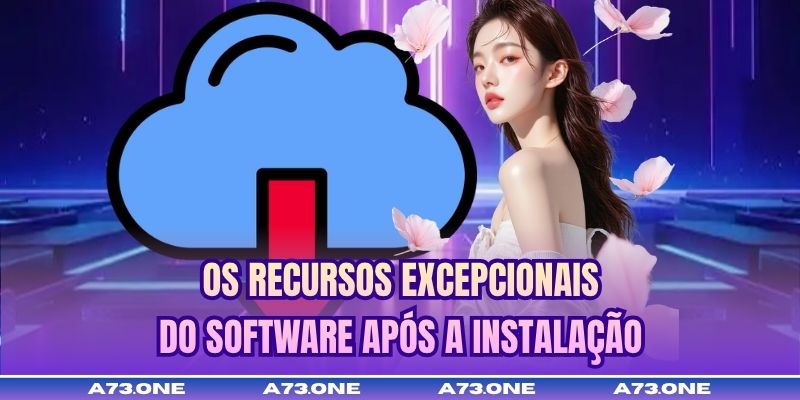 Os recursos excepcionais do software após a instalação